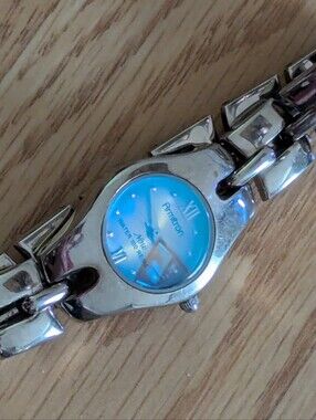 Armitron NOW Silver-Tone Bracelet Watch Brown Face Blue Lens Water Resistant